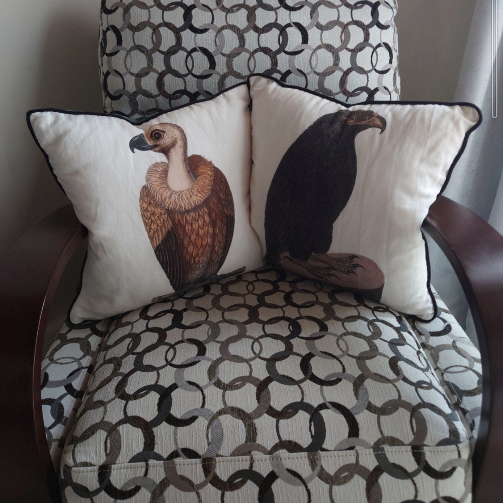 Birds Of Prey Accent Pillows